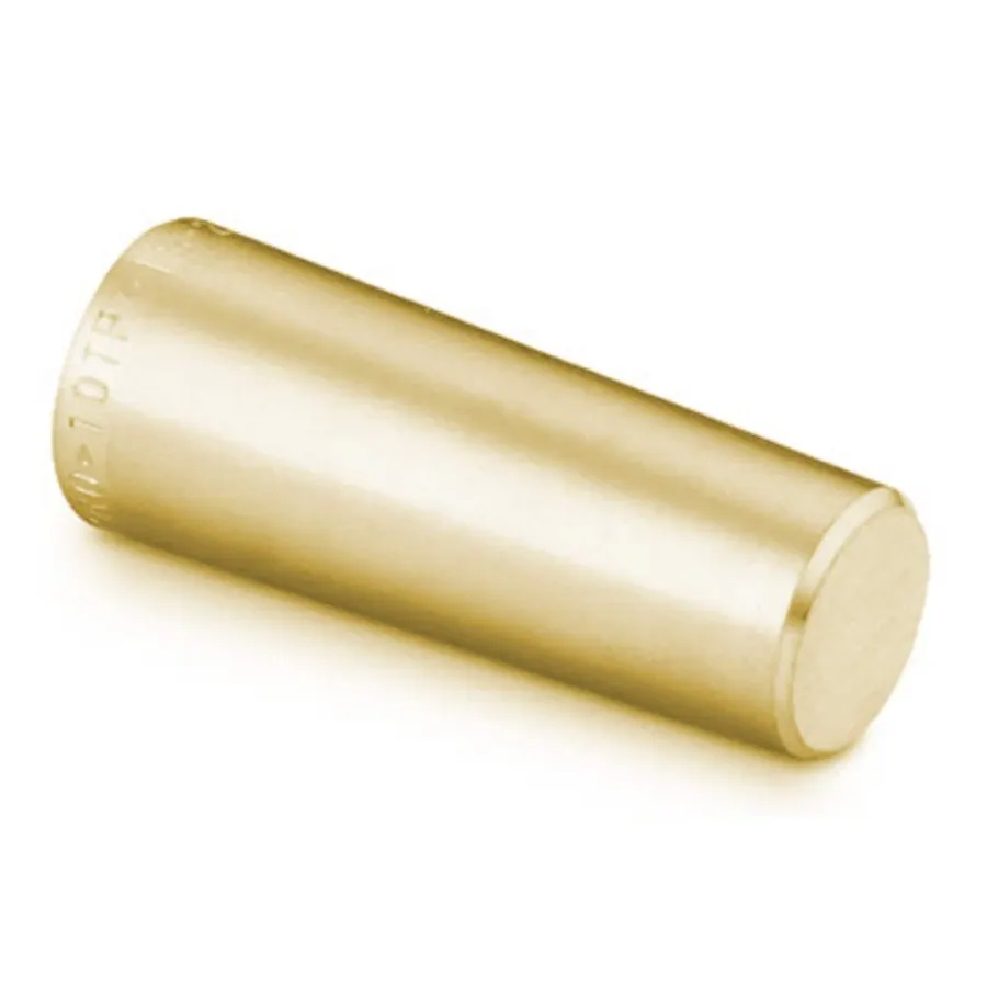 Brass Plug - 1" GAS Heat Exchanger