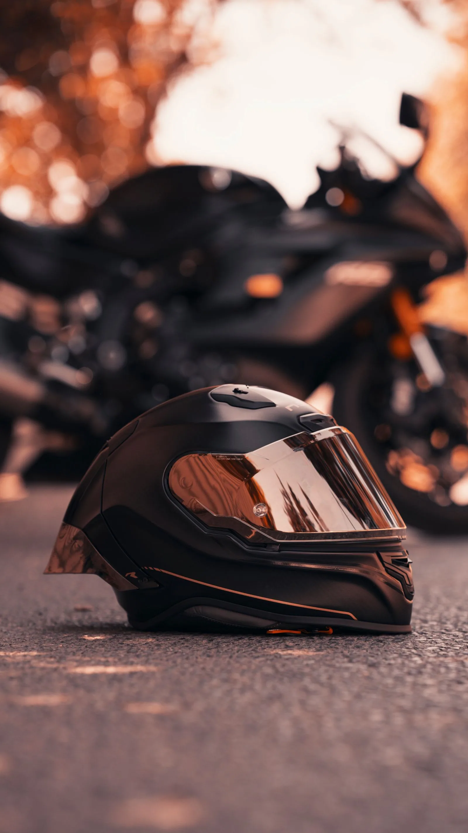 Circuit Collector Helmet — Graphite Livery