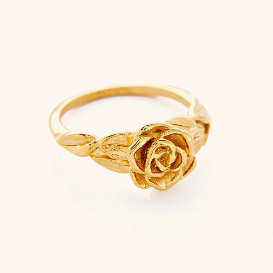 Rose Petal Gold Ring Duo