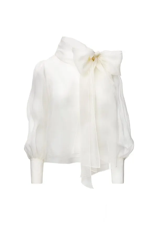 Sheer Organza Blouse