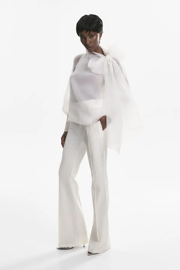 Sheer Organza Blouse