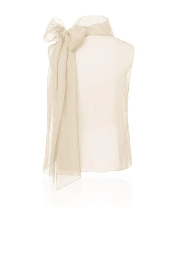 Sheer Organza Blouse